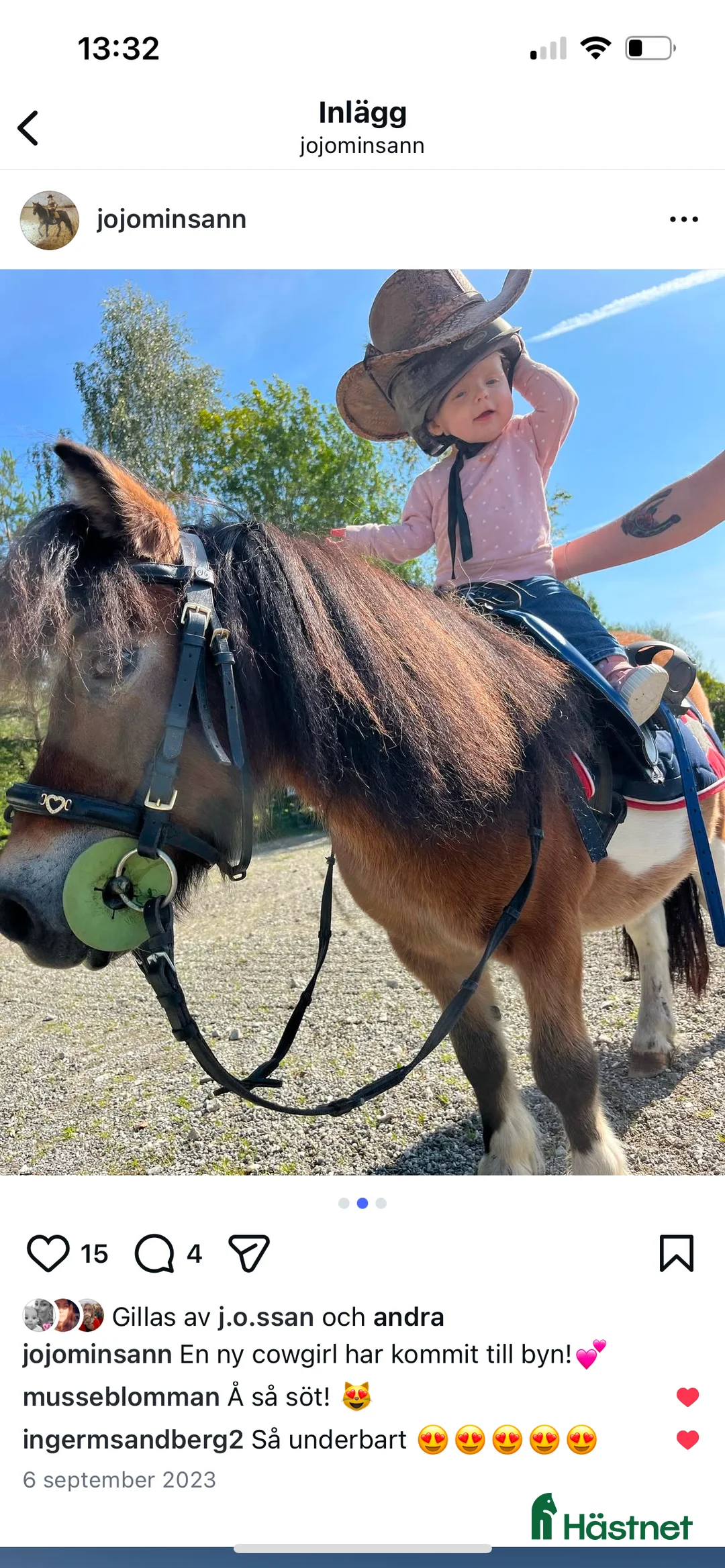 Allround hästar till salu: Shettispar säljes ihop för priset av en!  - Annons 5