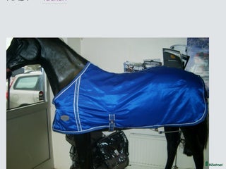 Täcken hästutrustning till salu: Fodrat wahlsten stalltäcke i stl 135 i Sidensjö - Annons 1