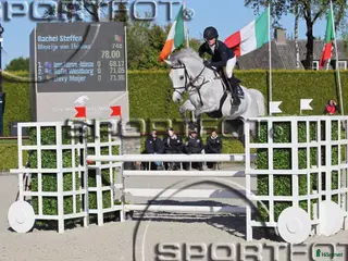 hästar Elite Broodmare Opportunity - Annons 2