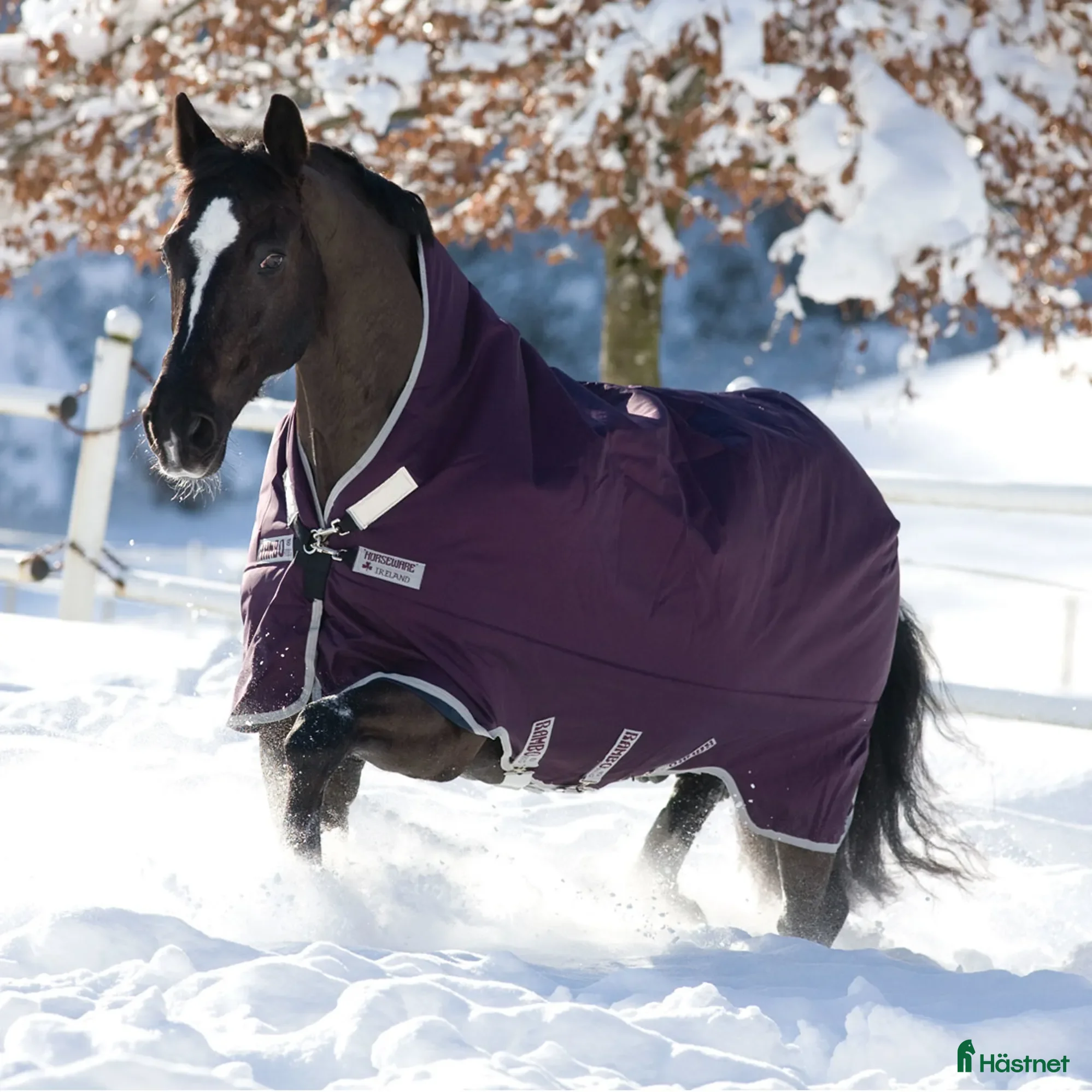 Täcken hästutrustning till salu: Nytt Rambo 370g 130/6'0 i Sandviken - Annons 2
