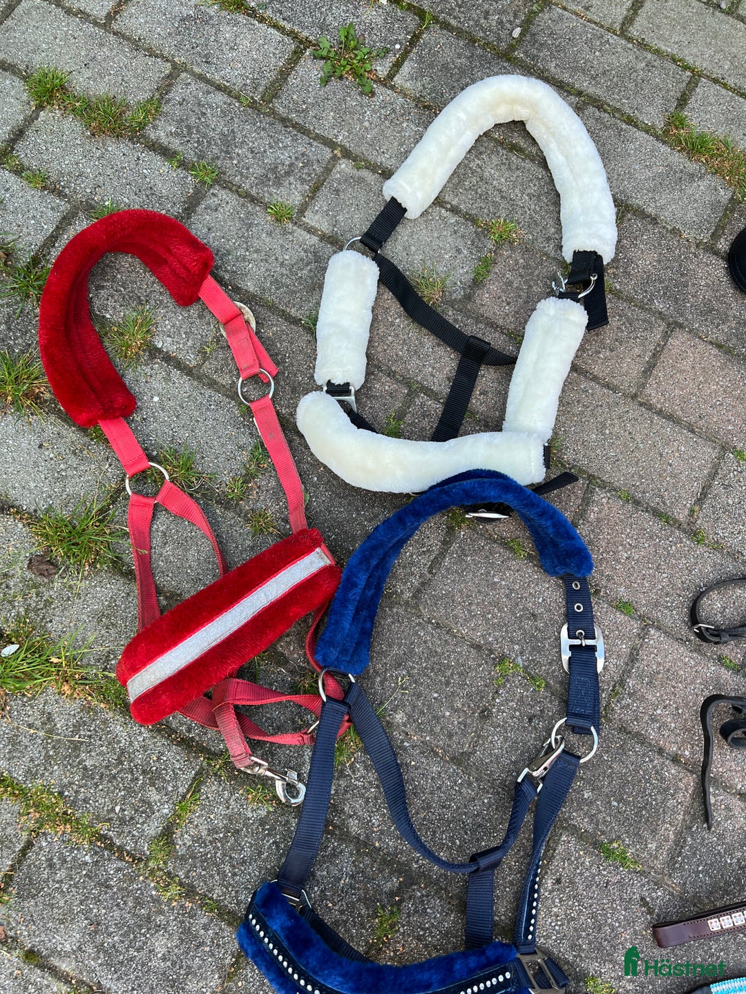 Övrig Hästutrustning hästutrustning till salu: Hästutrustning  - grimma, boots, tyglar mm.  i Hörby - Annons 5