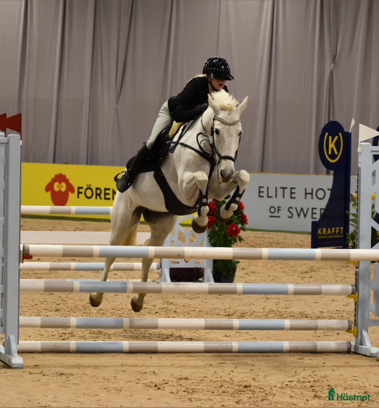  hästar Rutinerad tävlingsponny - Annons 23