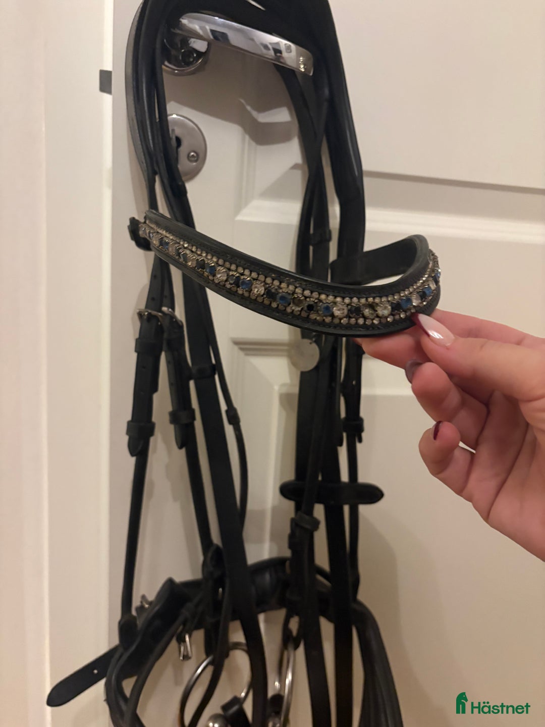 Träns hästutrustning till salu: Ps of Sweden träns  i Göteborg - Annons 2