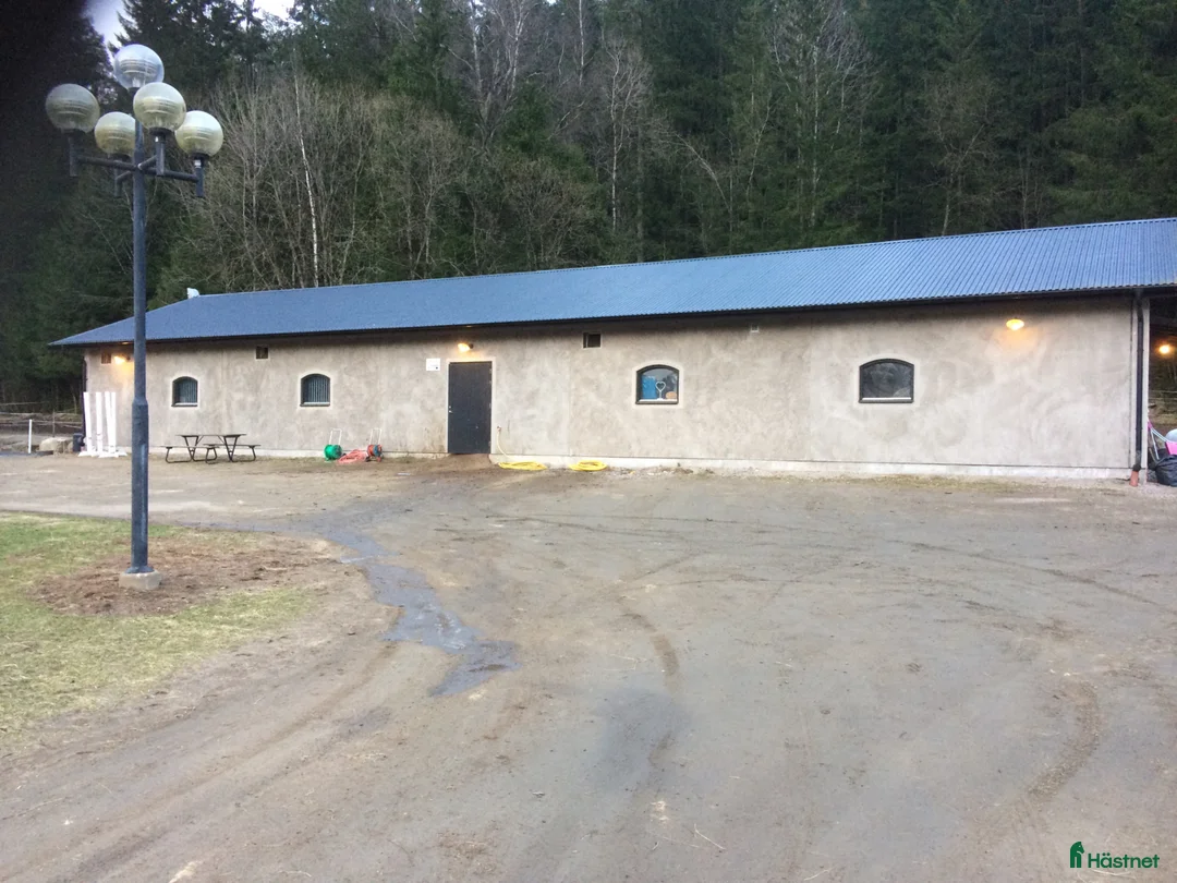  stallplats finnes: Stallplatser i Kinnarumma  - Annons 3