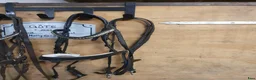 Träns hästutrustning till salu: Marston träns (Hööks), nyskick i Asmundtorp - Annons 2
