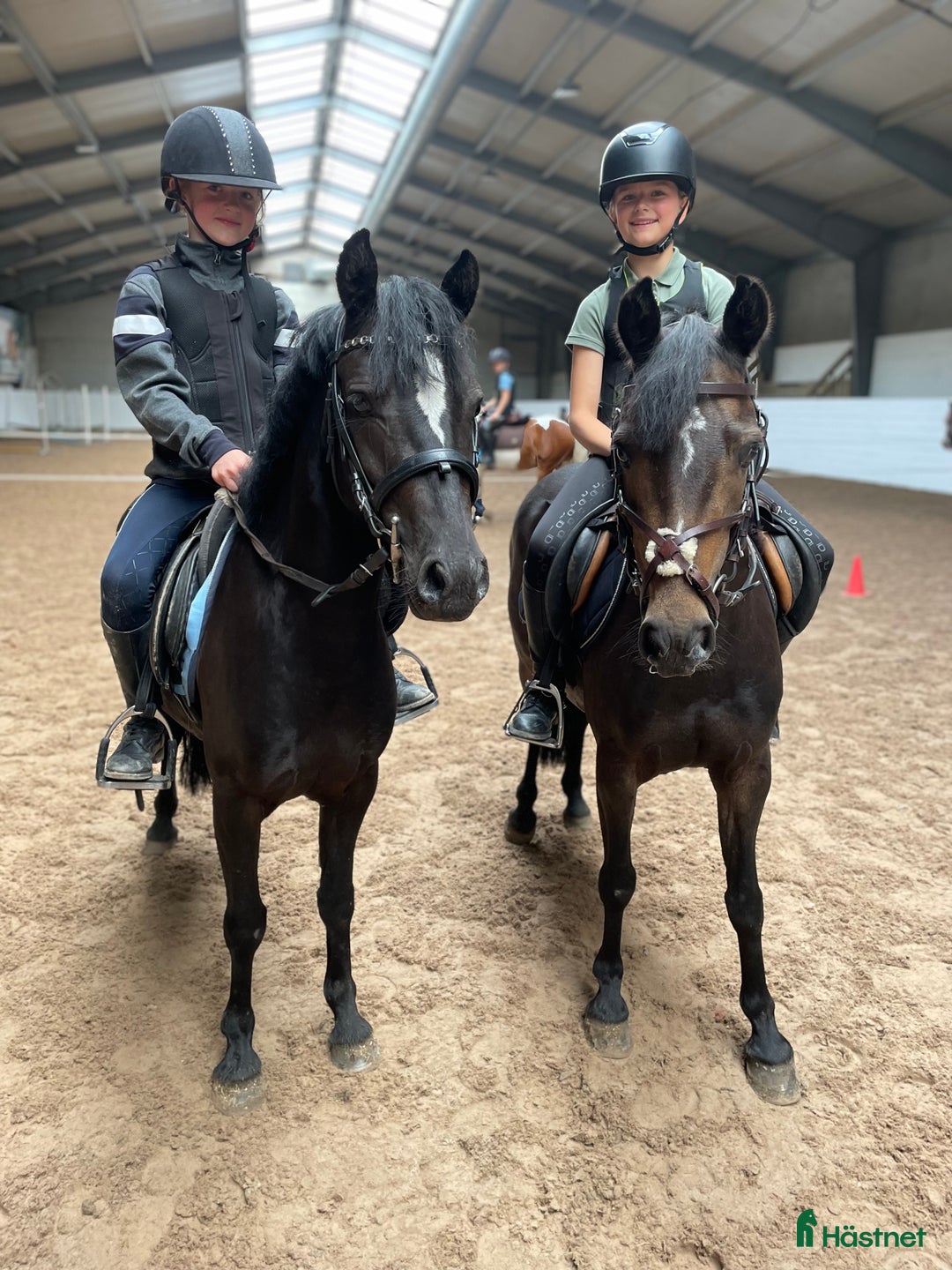  hästjobb finnes: Jobb på en av Norges største rideskoler🐎🇳🇴 - Annons 9