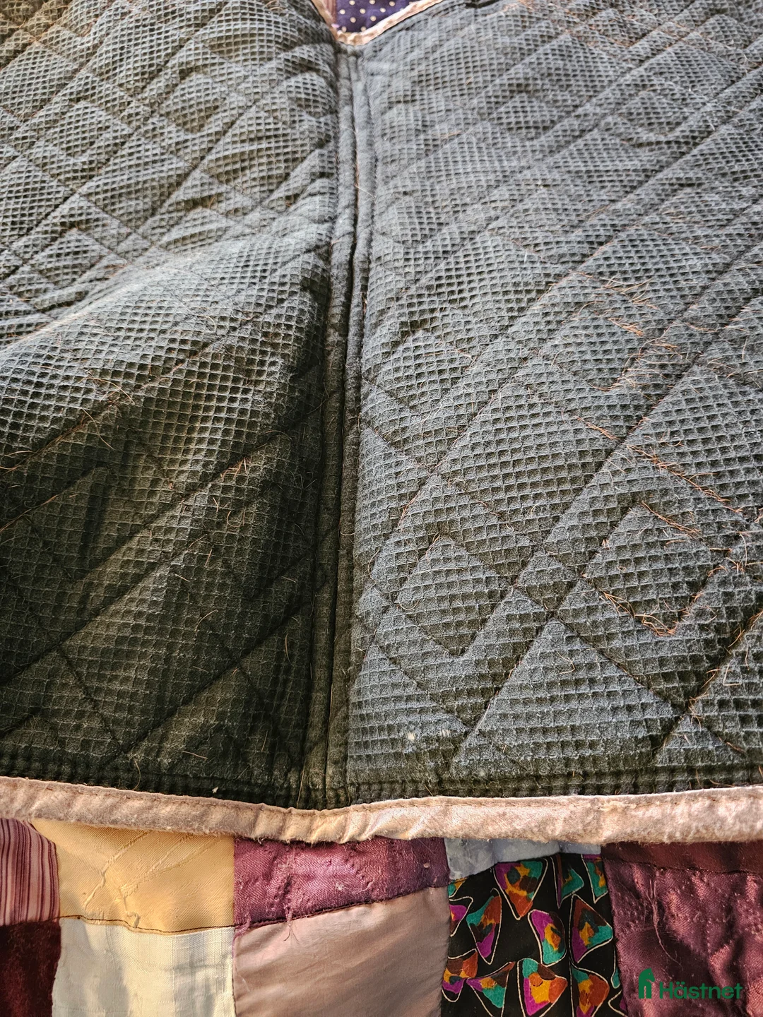 Schabrak & Vojlockar hästutrustning till salu: Svart schabrak cob i Söråker - Annons 4