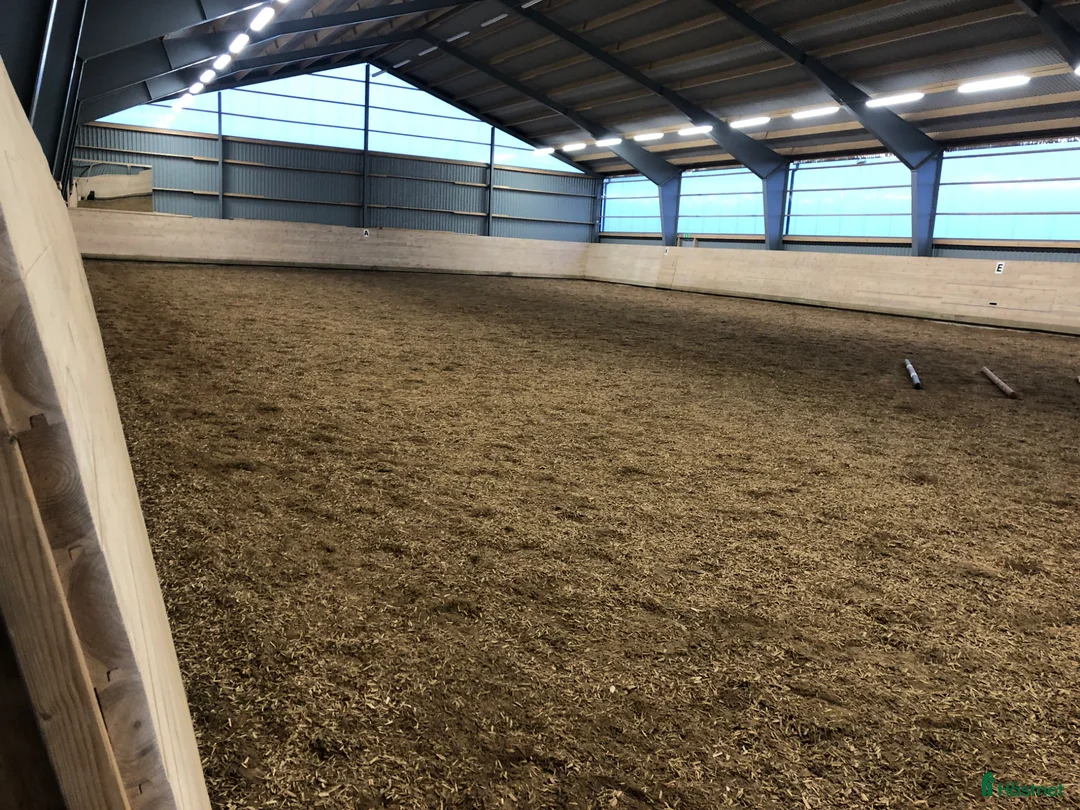  stallplats finnes: Stallplats finnes från 1 juni - Annons 7