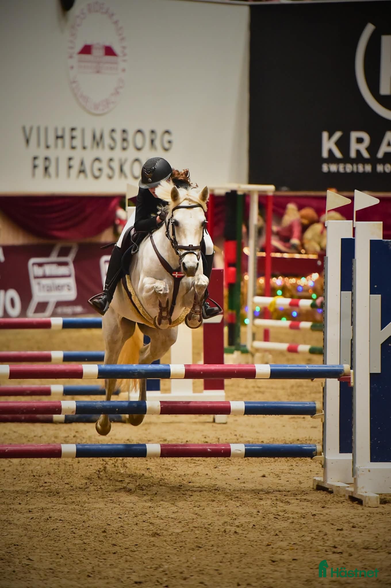  hästar Spring pony til store stævner  - Annons 1