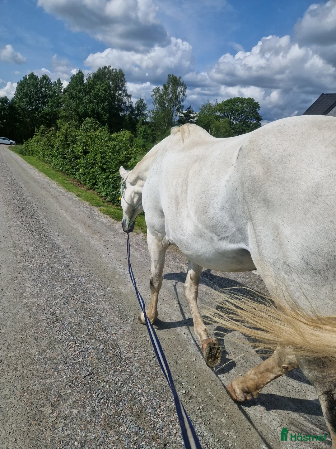  stallplats finnes: Mysig Lösdrift i lindome  - Annons 11