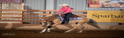 Western hästar till salu: Reining/allround i Nyköping - Annons 1