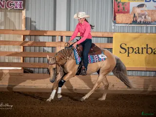 Western hästar till salu: Reining/allround - Annons 2
