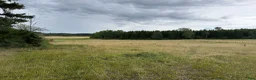  stallplats finnes: Ny lösdrift med tillgång till ridhus  - Annons 5