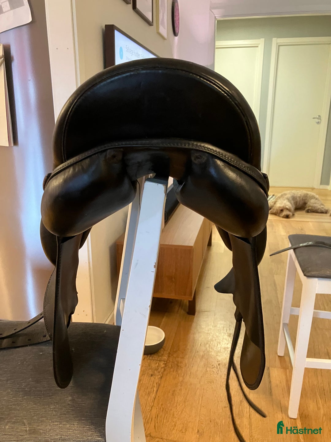Sadlar hästutrustning till salu: Fin bekväm sadel  i Karlstad - Annons 3