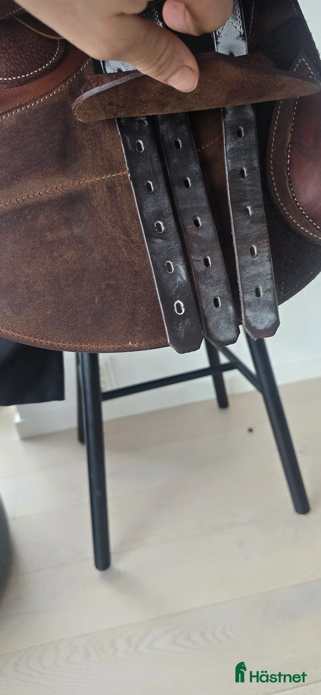 Sadlar hästutrustning till salu: Superfin demo-sadel FYND!  - Annons 2