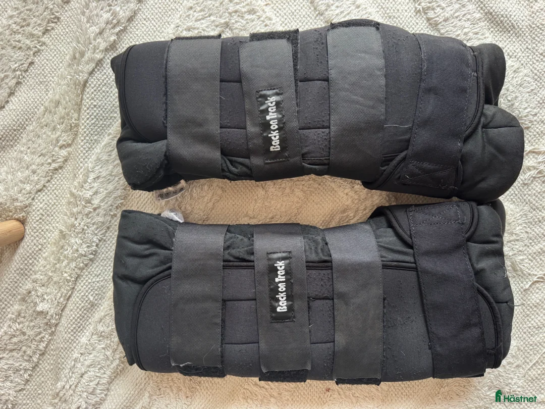 Benskydd hästutrustning till salu: Back on track - Annons 1