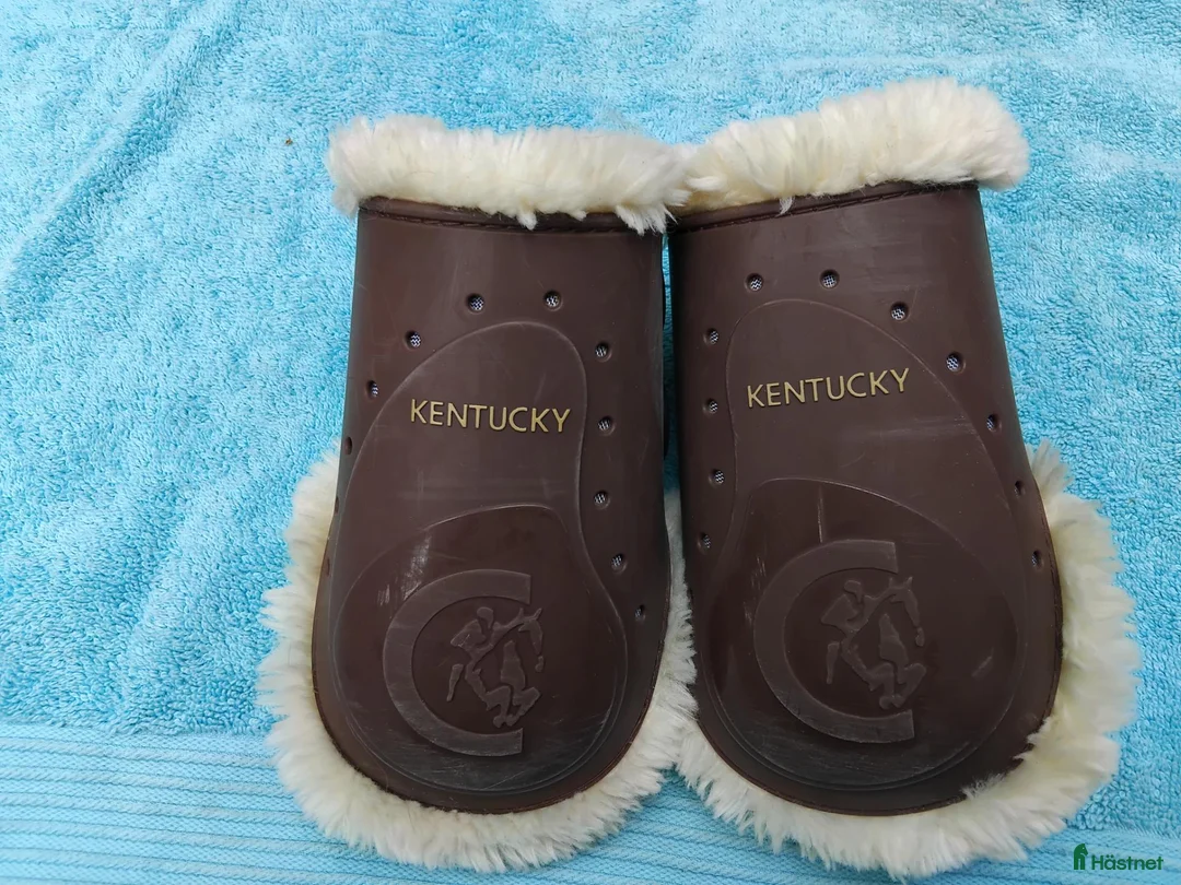 Benskydd hästutrustning till salu: Kentucky bakbensskydf - Annons 2