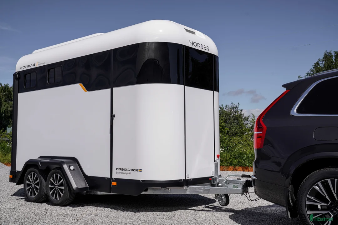 Hästtransporter  fordon & transport till salu: Forzab EQ 2 - Annons 6