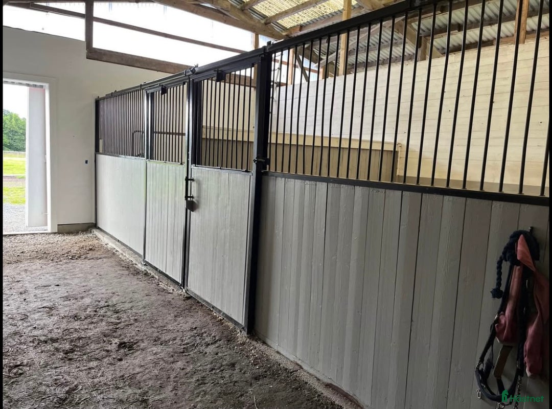  stallplats finnes: Stallplats Åsa i Frillesås - Annons 1