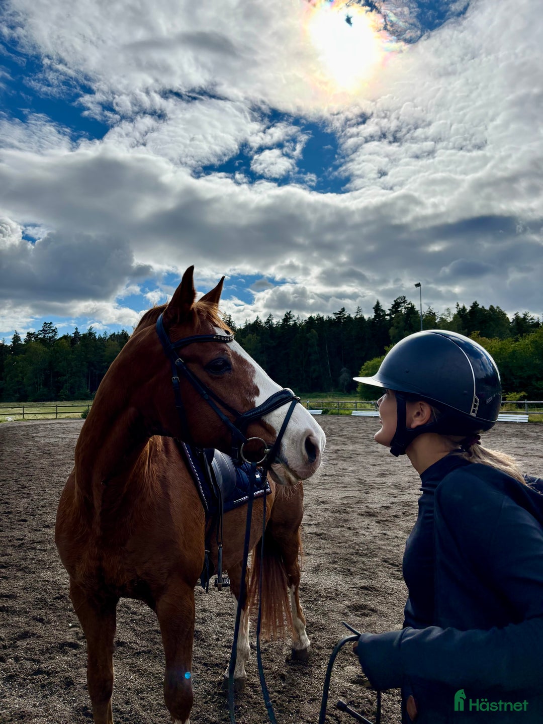  stallplats finnes: Behöver du stallplats på Ekerö?  i Skå - Annons 2