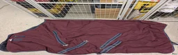 Täcken hästutrustning till salu: Rambo Horseware stalltäcke 100 gr, strl 145 cm - Annons 1