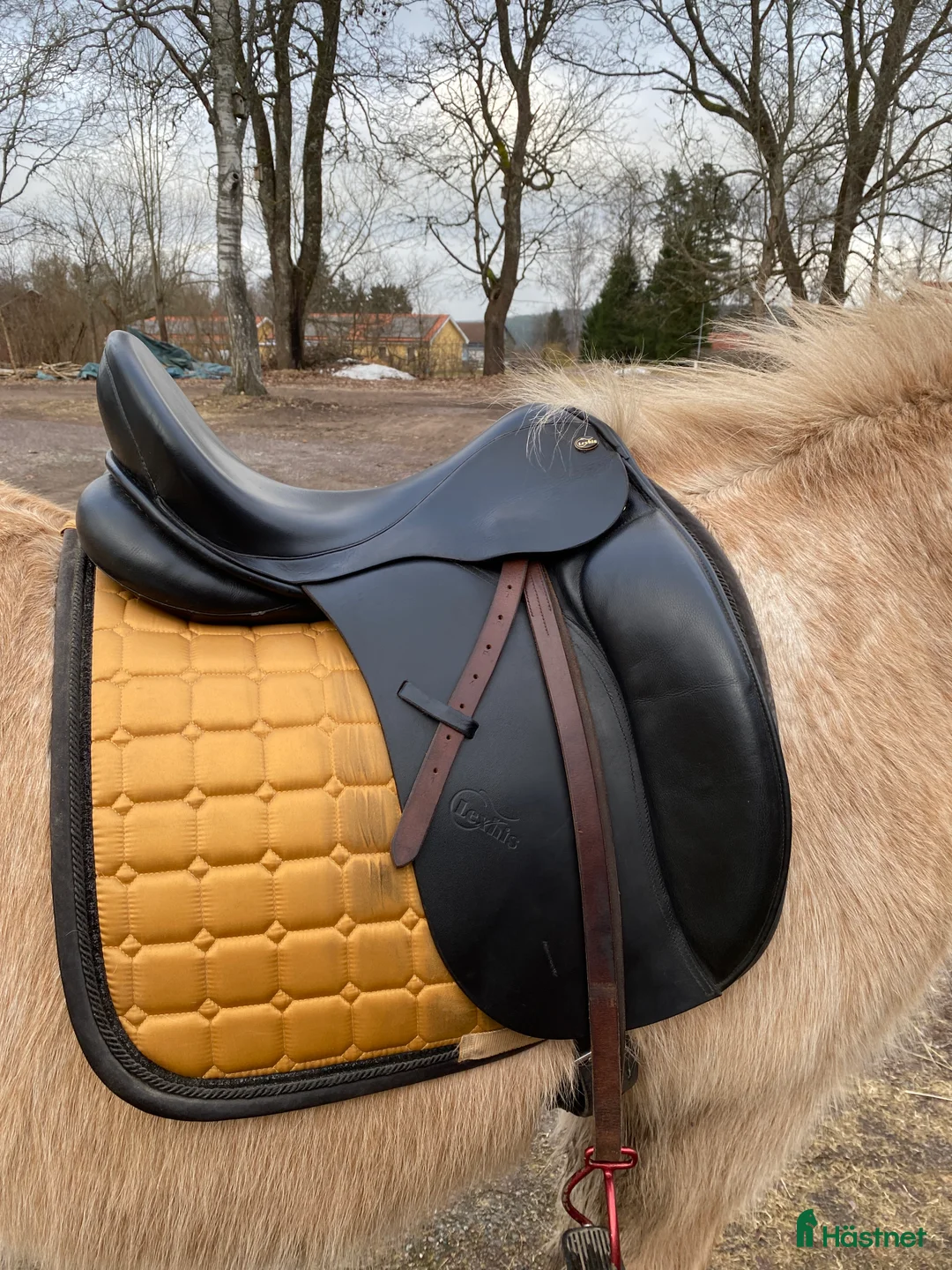 Sadlar hästutrustning till salu: Välvårdad dressyrsadel 17’ - Annons 1