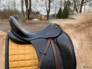 Sadlar hästutrustning Välvårdad dressyrsadel 17’ - Annons 1