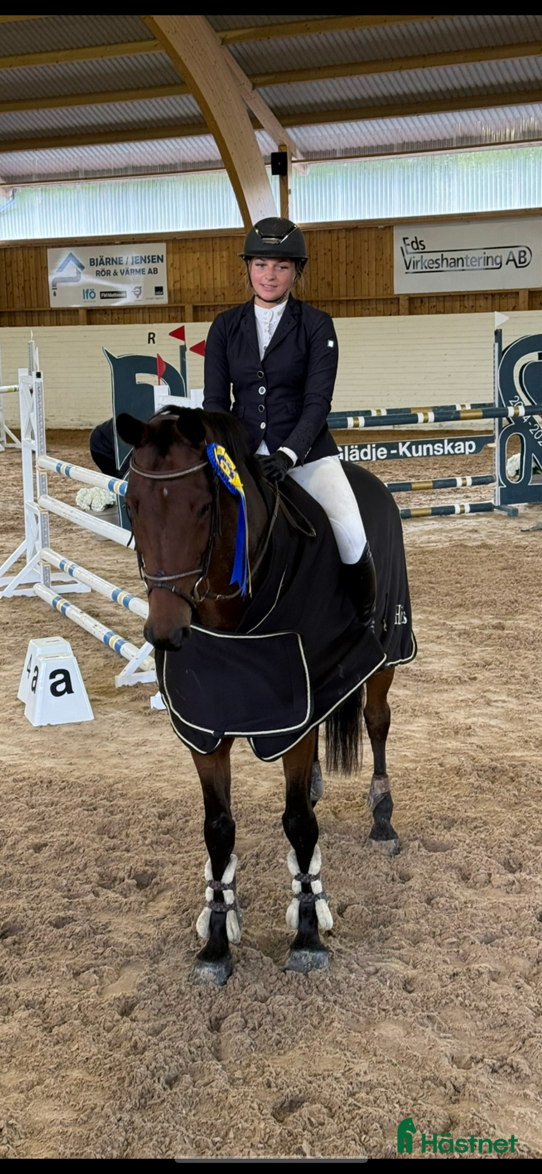 Hoppning hästar till salu: Snäll & välhoppande häst i Hedekas - Annons 1