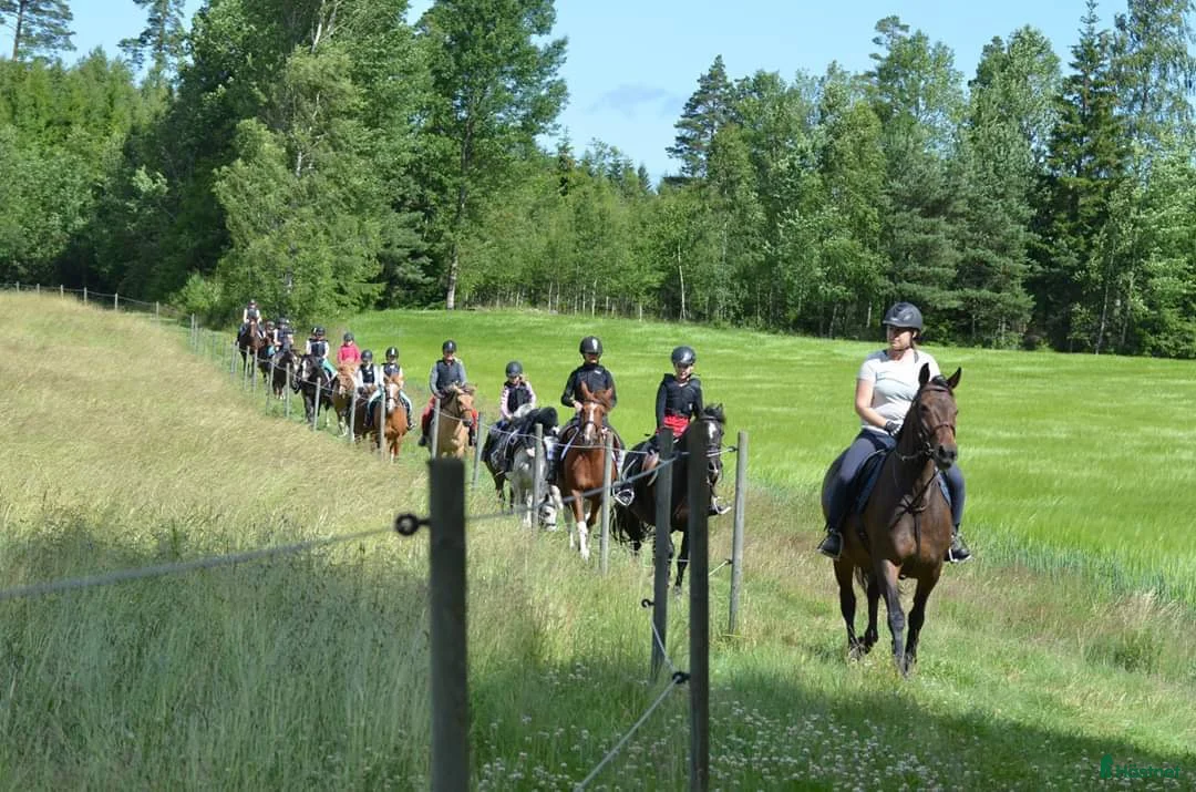 Galleribild {{count}}