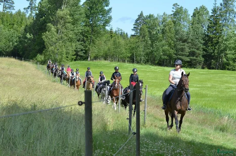 Galleribild {{count}}