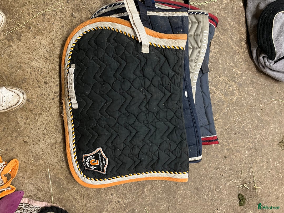 Schabrak & Vojlockar hästutrustning till salu: Schabrak  i Landsbro - Annons 4