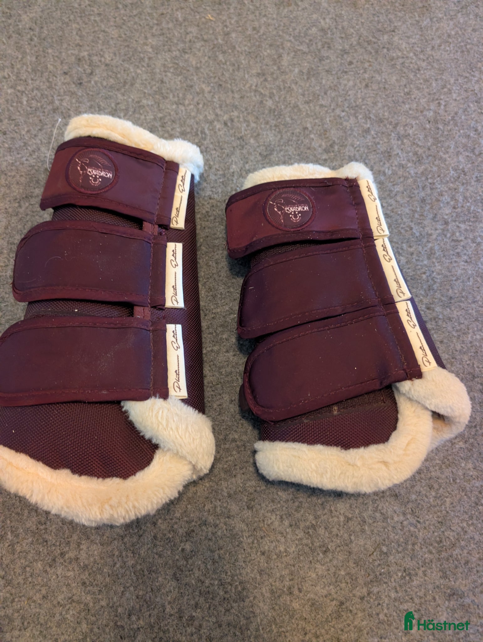 Benskydd hästutrustning Eskadron - Annons 5