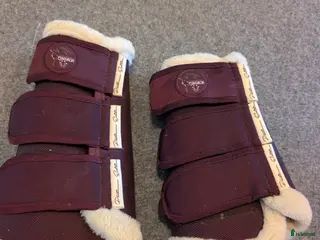 Benskydd hästutrustning Eskadron - Annons 5