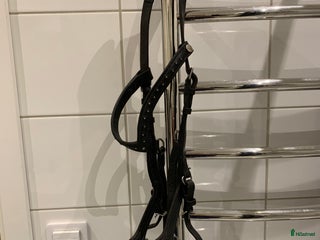 Träns hästutrustning till salu: Micklemträns i Norrköping - Annons 3