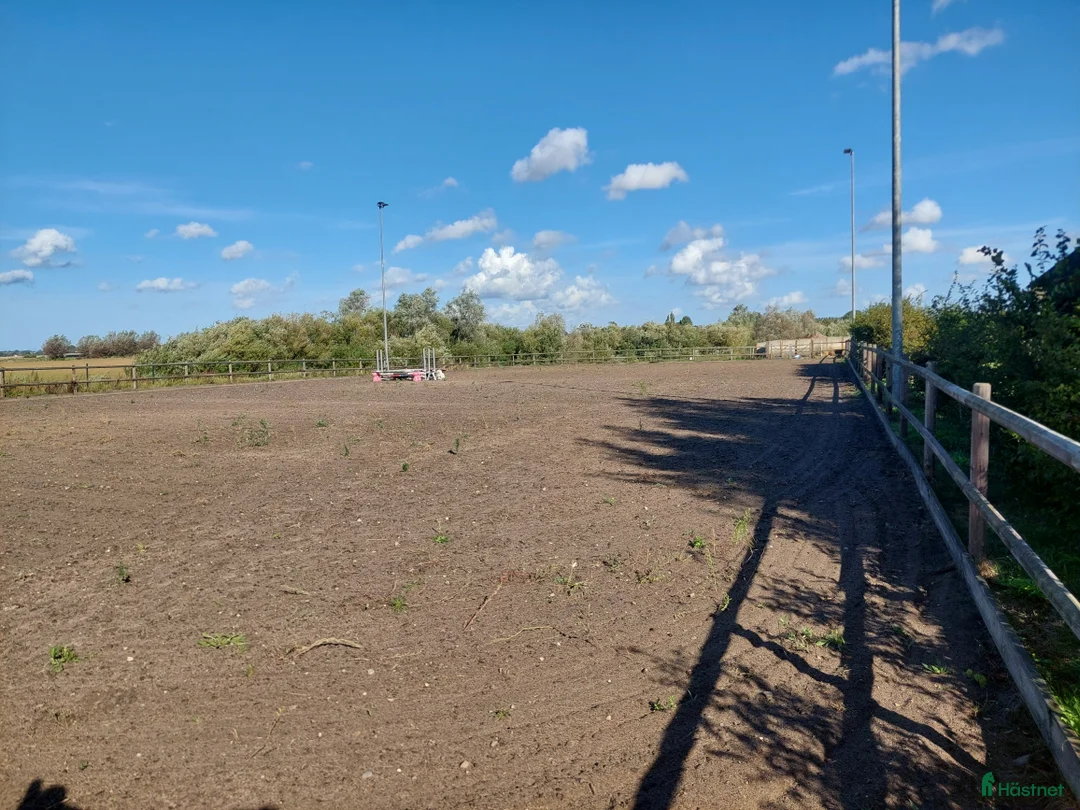  stallplats finnes: Boxplatser uthyres  i Staffanstorp - Annons 1