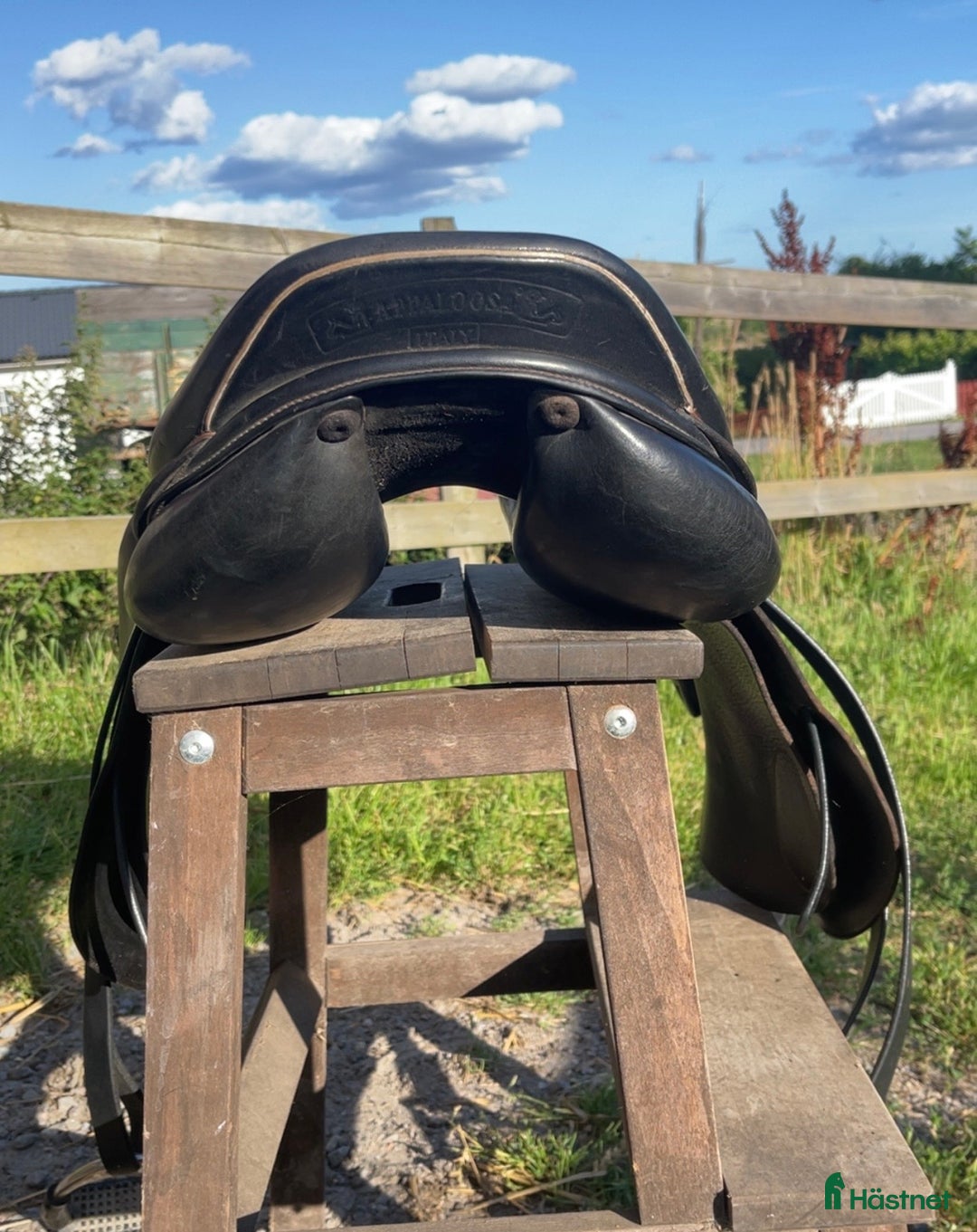 Sadlar hästutrustning till salu: Hippos golden star  i Norrköping - Annons 4