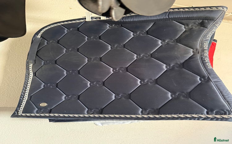 Schabrak & Vojlockar hästutrustning till salu i Stora Skedvi - Annons 10