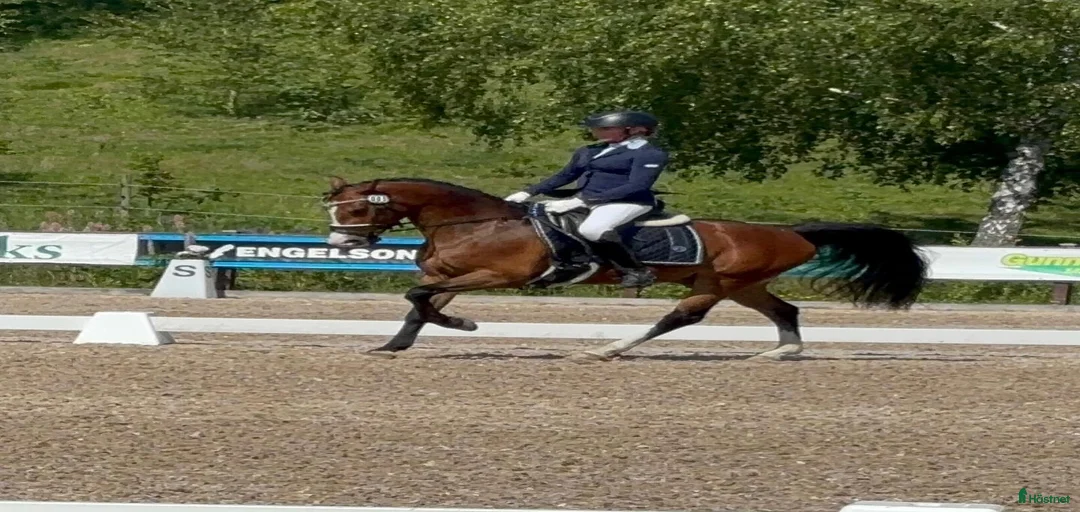 Galleribild {{count}}