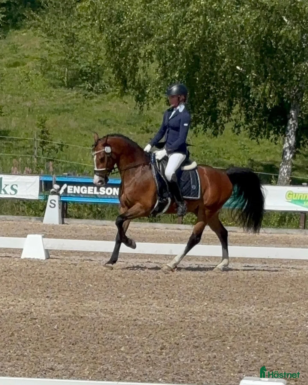 Galleribild {{count}}