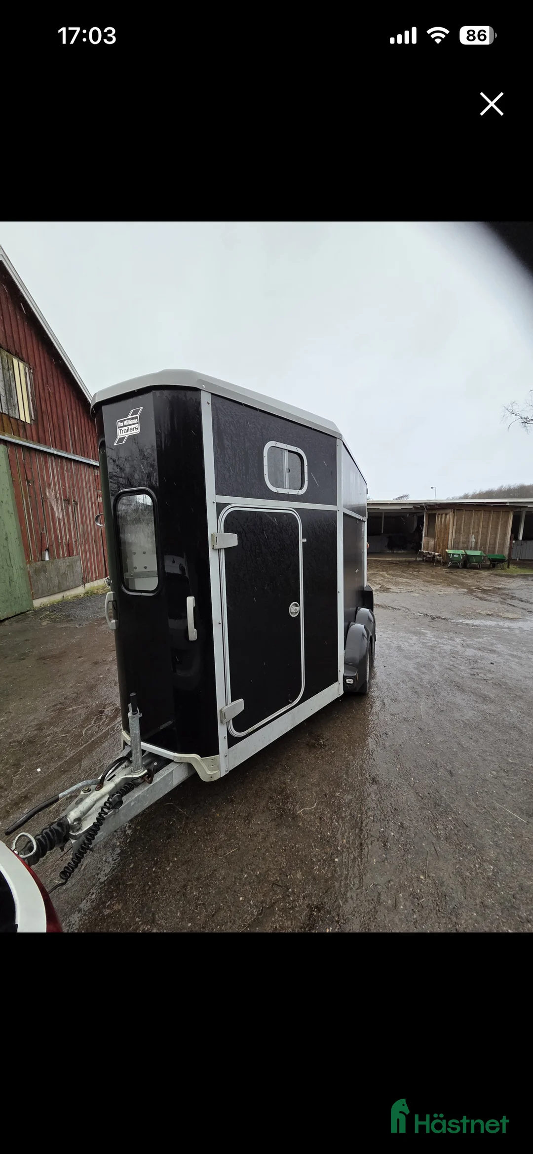 Hästtransporter  fordon & transport till salu: Diagonallastat ifor Williams  - Annons 5