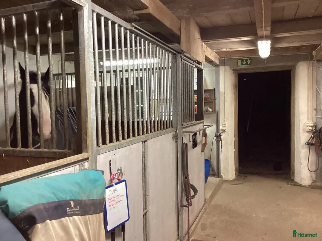  stallplats finnes: Lediga stallplatser på mysig gård nära Backamo i Ljungskile - Annons 8