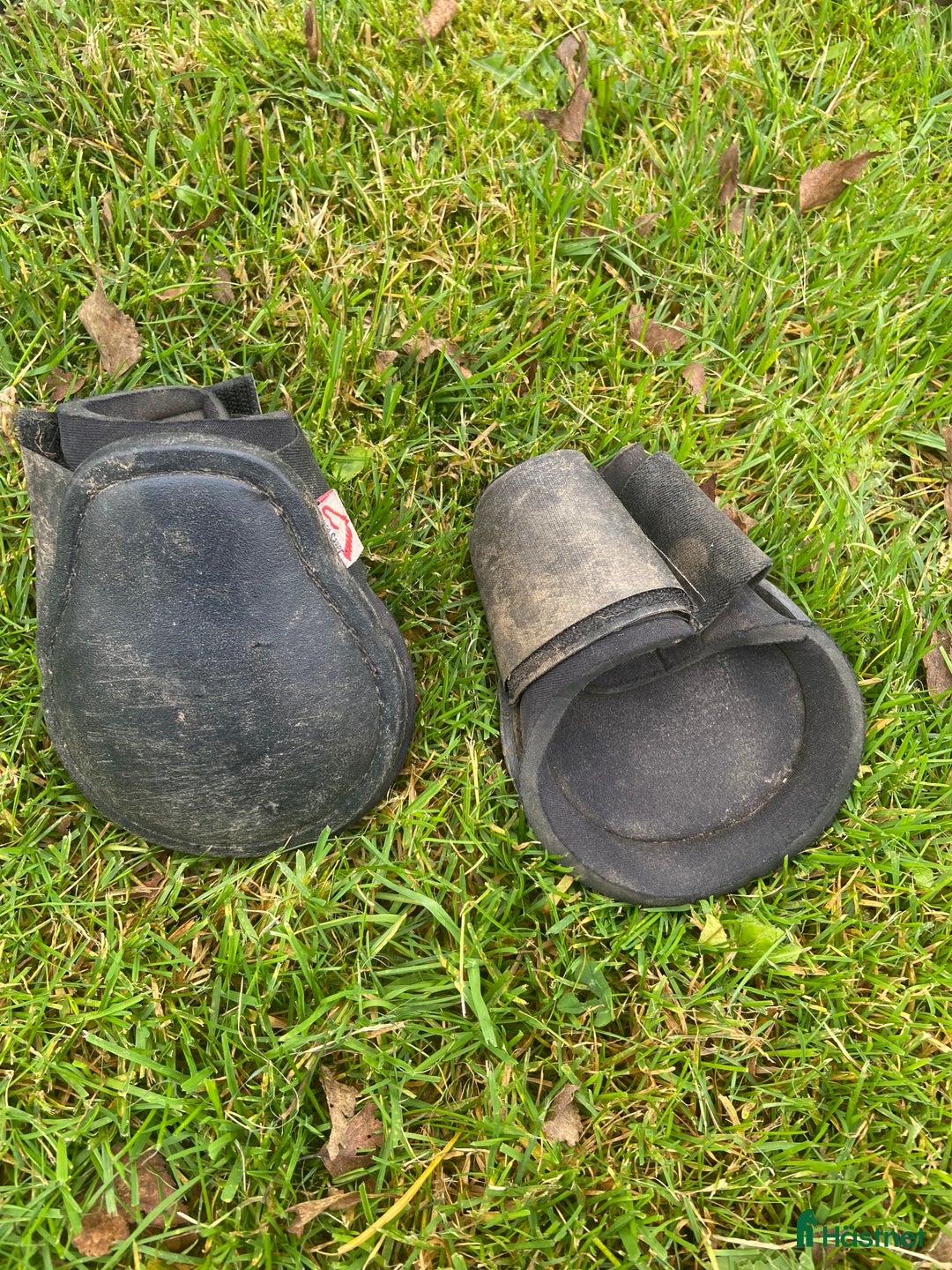 Benskydd hästutrustning till salu: Olika benskydd i Skövde - Annons 4