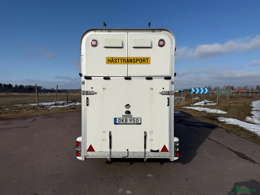 Hästtransporter  fordon & transport till salu: UME B50 -15 - Annons 5