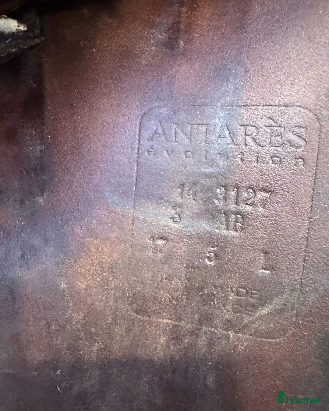 Sadlar hästutrustning till salu: Antarès Evolution hoppsadel – 17,5” / Medium i Båstad - Annons 7