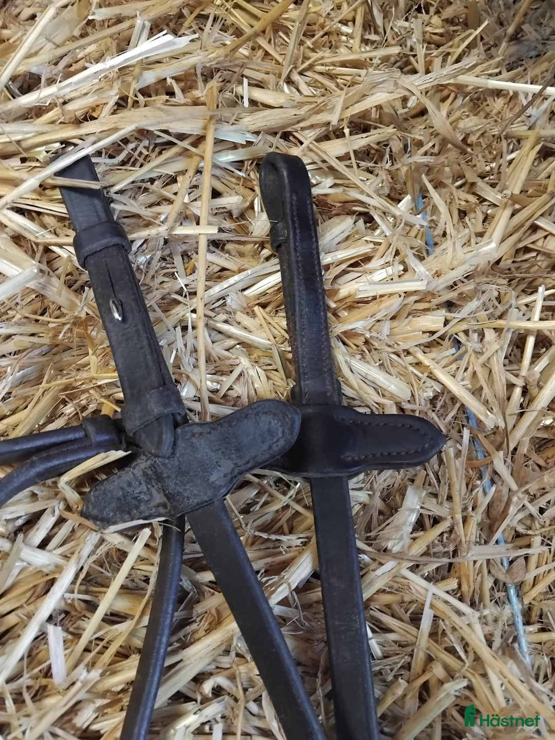 Övrig Hästutrustning hästutrustning till salu: Blandat i Löddeköpinge - Annons 20