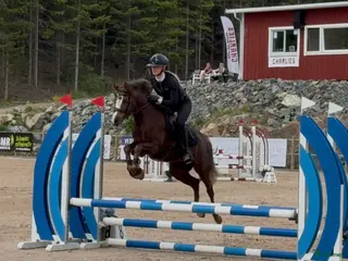 hästar Bes UA 24/9! Drömponny med kapacitet🌟 - Annons 6