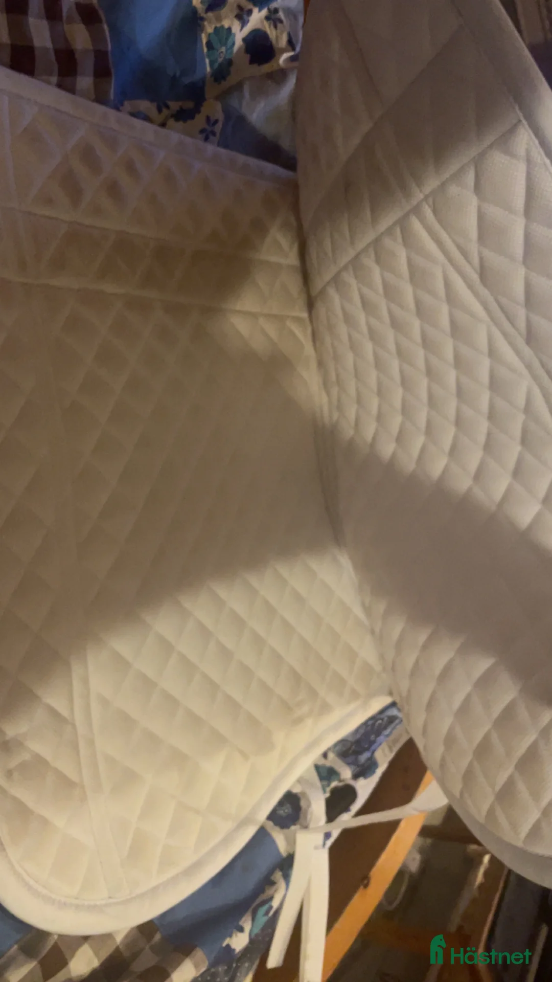 Schabrak & Vojlockar hästutrustning till salu: Helt nytt es schabrak! i Ås - Annons 2