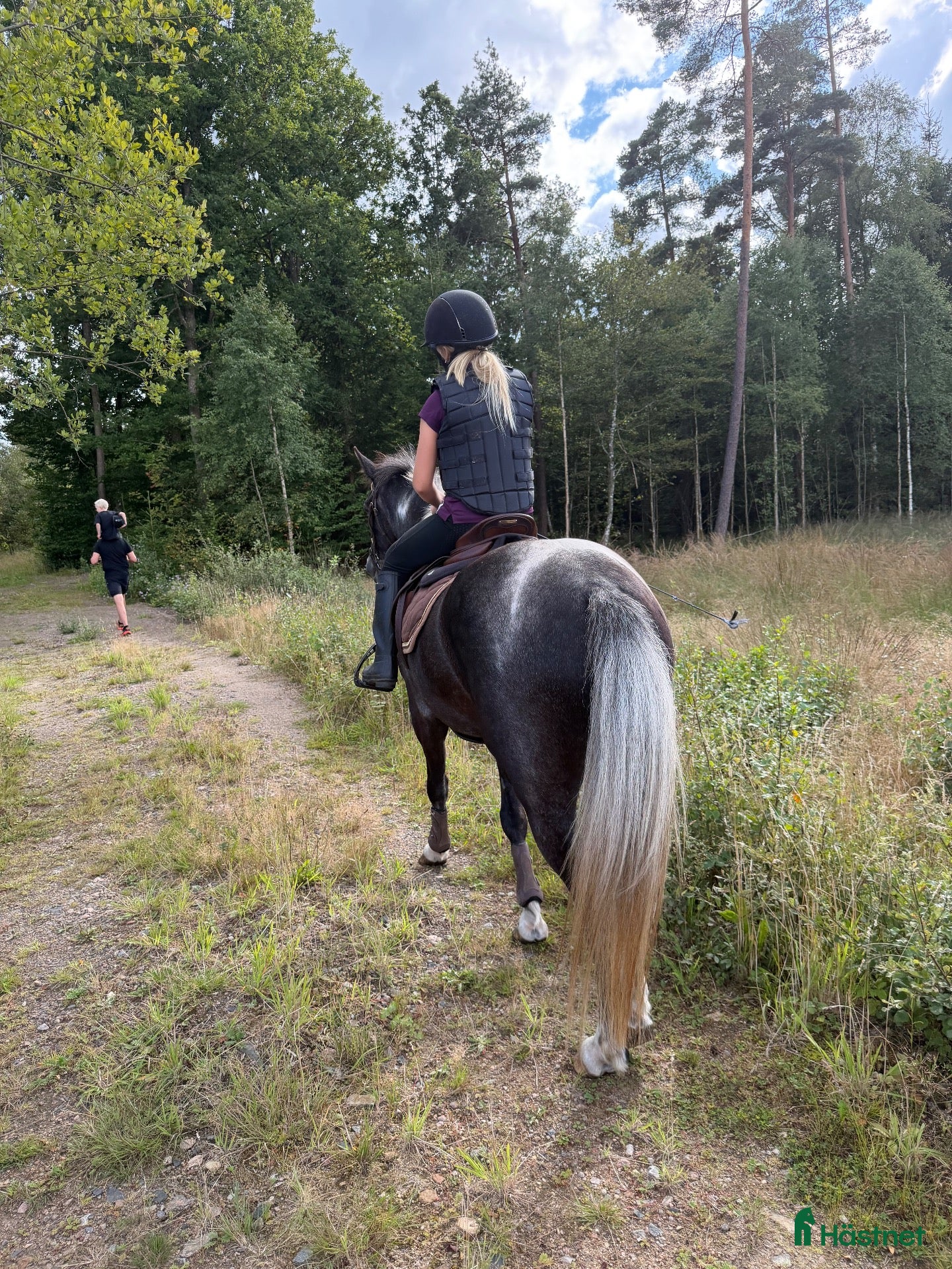  foderhäst finnes: 4-Årig d-ponny valack - Annons 2