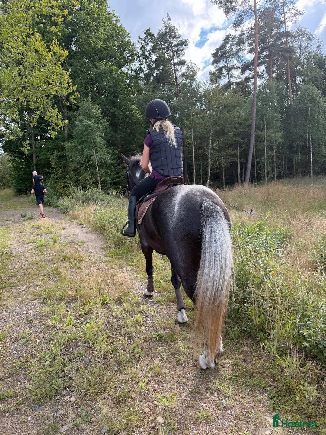  foderhäst finnes: 4-Årig d-ponny valack - Annons 1