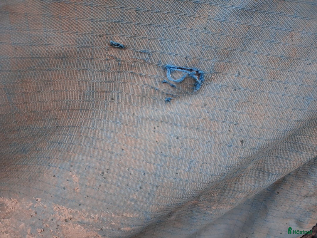 Täcken hästutrustning till salu: Utetäcke 155cm i Örbyhus - Annons 2